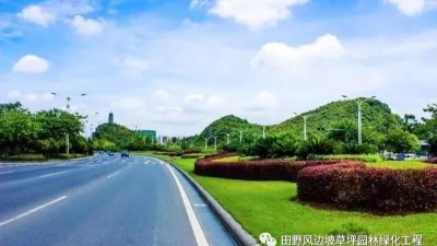 道路綠化中，城市干道植物應(yīng)怎樣配置？