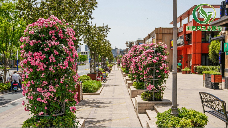 道路綠化,市政綠化