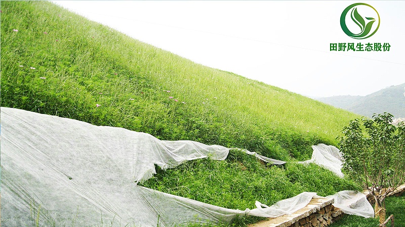 邊坡綠化、生態(tài)防護