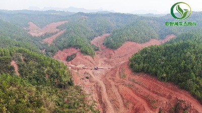 韶關(guān)市湞江區(qū)益豚邊坡復綠工程正式啟動