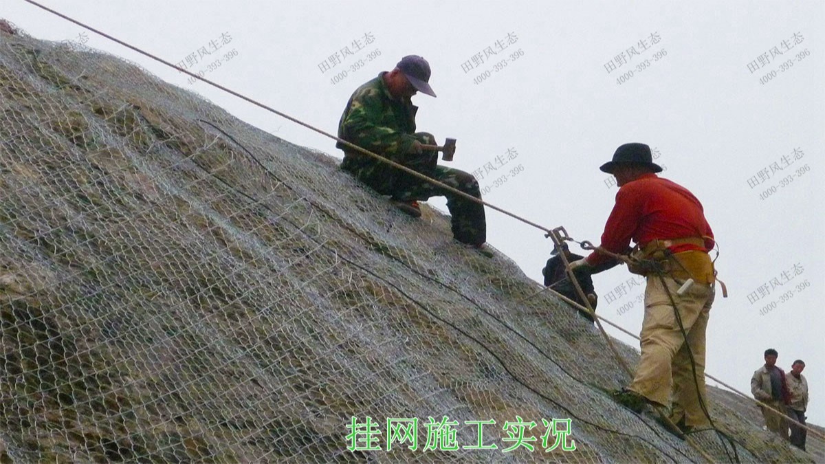 包茂高速茂名段高速公路邊坡復綠