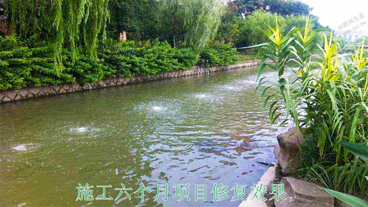 廣寧縣和漫水河道湖泊護(hù)坡綠化