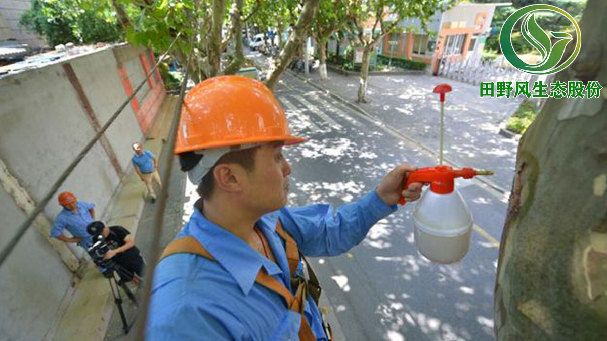 廣州市白云區(qū)綠化養(yǎng)護(hù),園林綠化