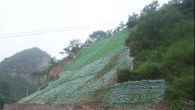 生態(tài)袋——環(huán)境保護(hù)、生態(tài)綠化、水土保持三位一體的生態(tài)護(hù)坡系統(tǒng)