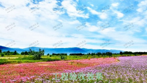 廣西五彩田園休閑農(nóng)業(yè)生態(tài)園