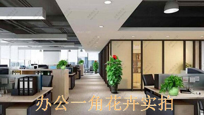 廣州國(guó)際金融中心室內(nèi)花卉租賃案例