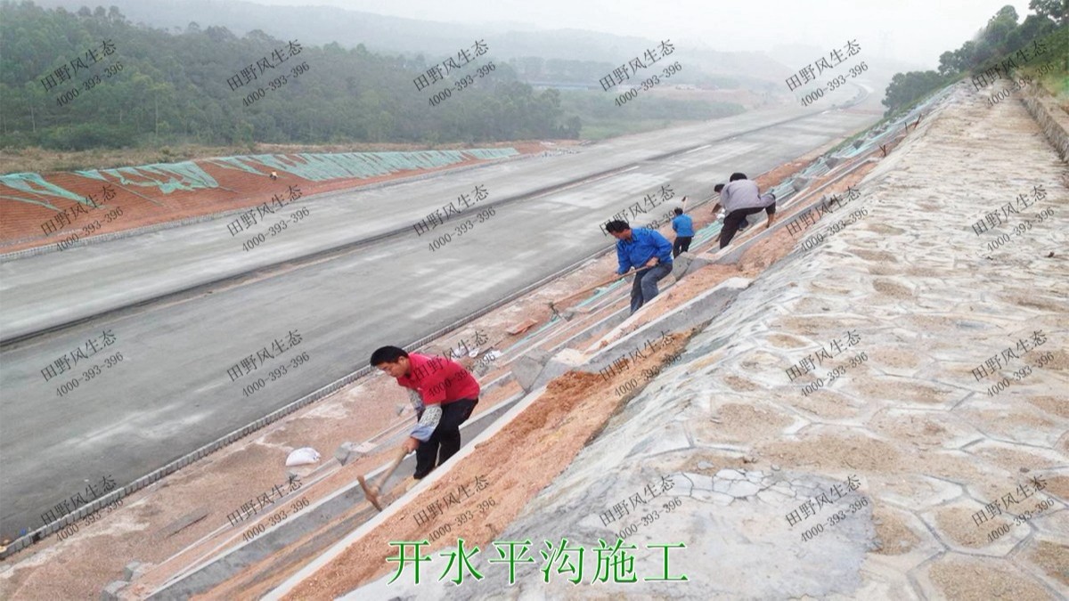 潮惠高速揭陽段高速公路邊坡植草