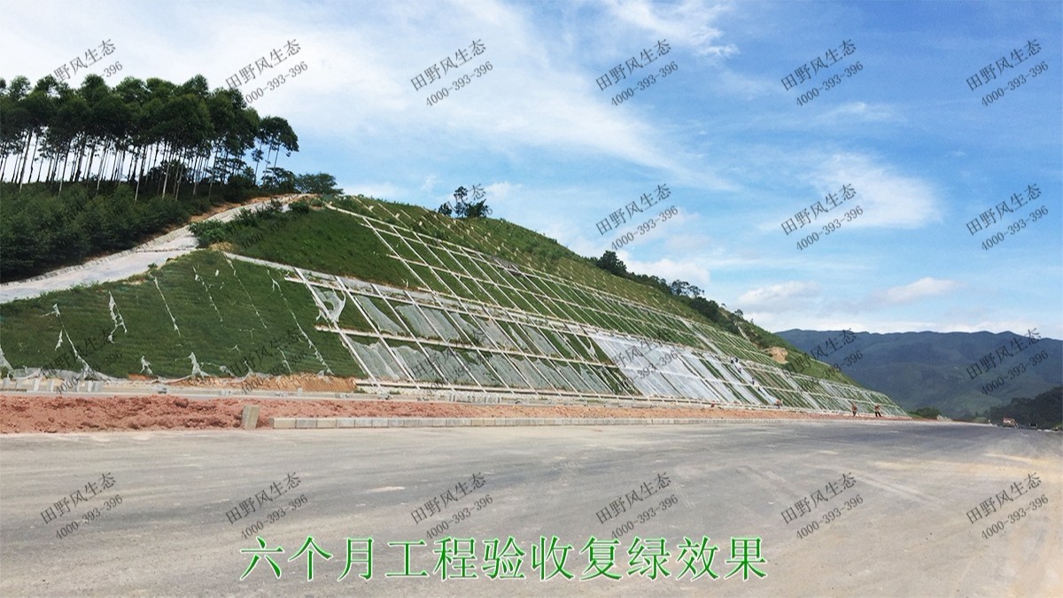 潮惠高速揭陽段高速公路邊坡植草