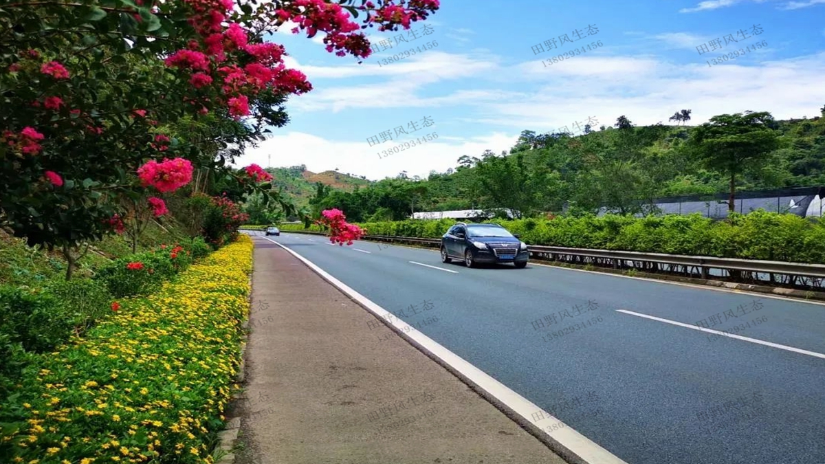 道路綠化植物應(yīng)該如何配置？