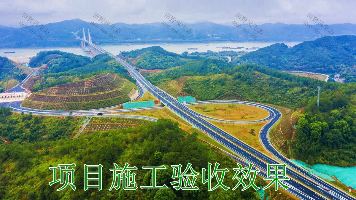 大潮高速公路邊坡復(fù)綠工程