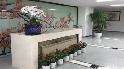 辦公室綠植租擺價格一般要多少？