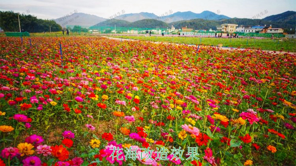 蕉嶺縣美麗鄉(xiāng)村工程項(xiàng)目