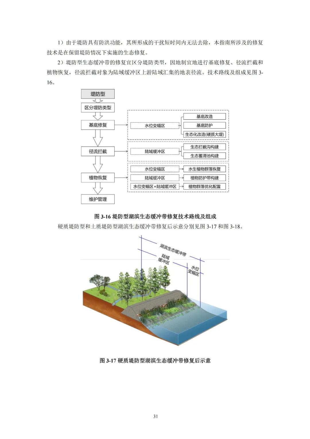 河湖生態(tài)緩沖帶保護(hù)修復(fù)