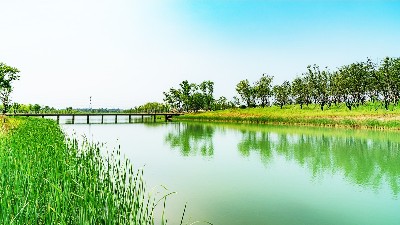 景觀生態(tài)學(xué)，自然保護(hù)與生態(tài)恢復(fù)三者間的關(guān)系