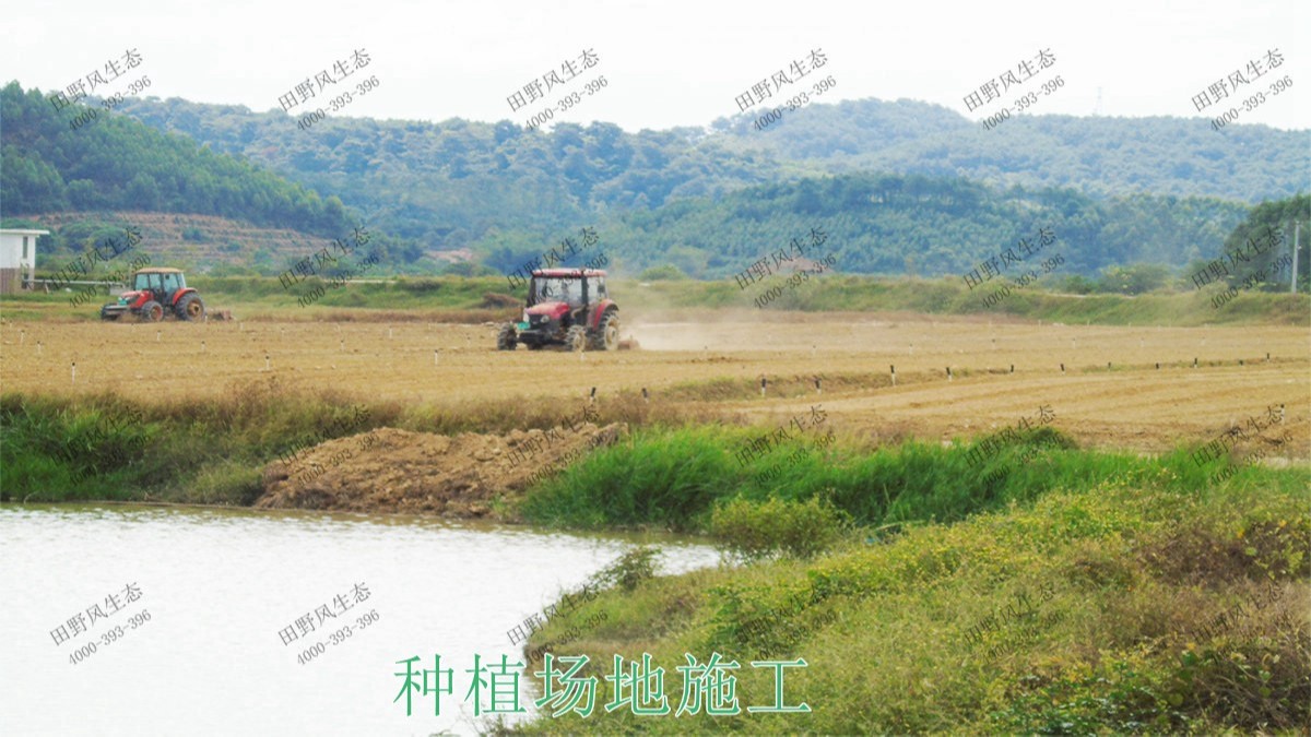 廣西梧州思良江休閑農業(yè)生態(tài)園花海工程