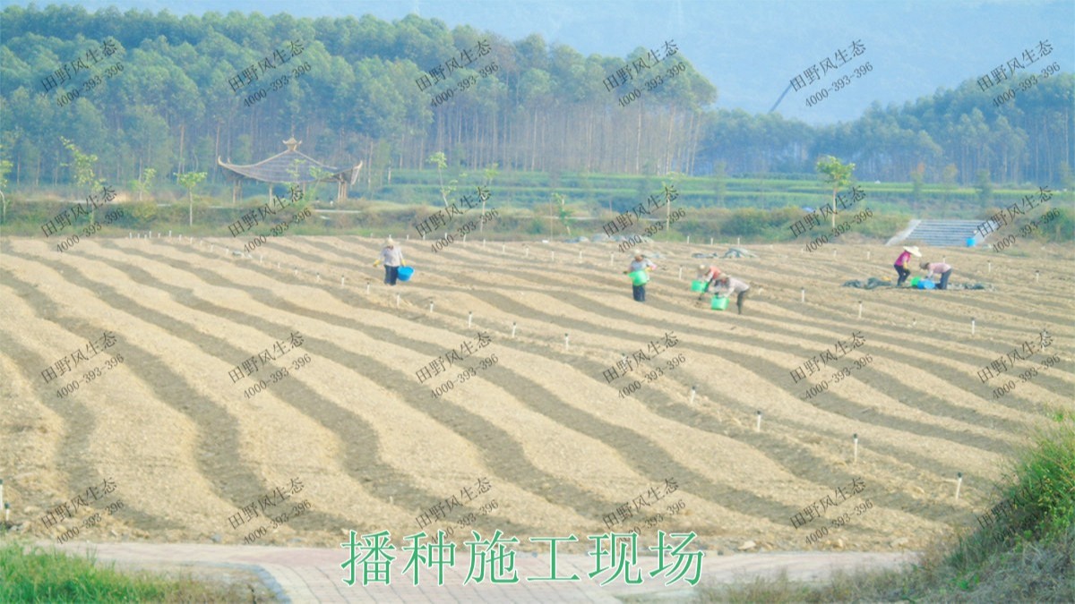 廣西梧州思良江休閑農業(yè)生態(tài)園花海工程