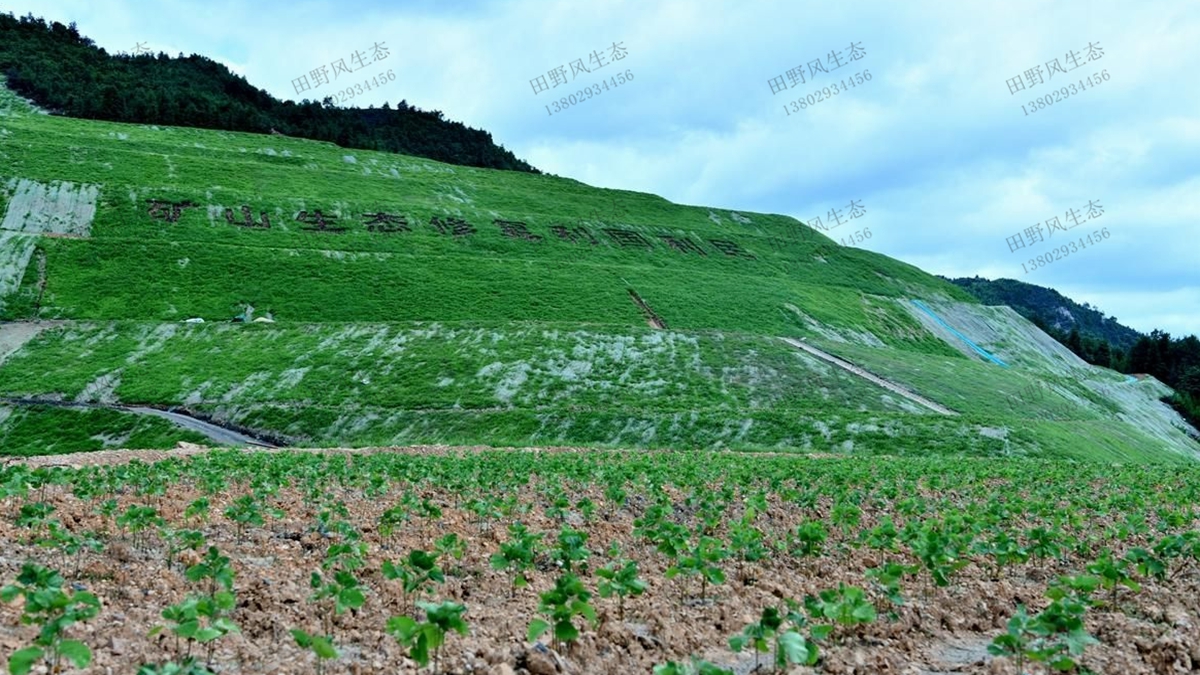 生態(tài)修復(fù)