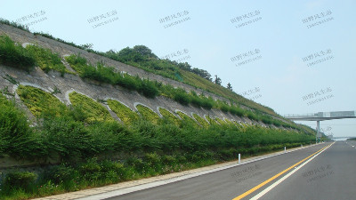 邊坡綠化對植物的選擇原則，有哪些植物推薦？