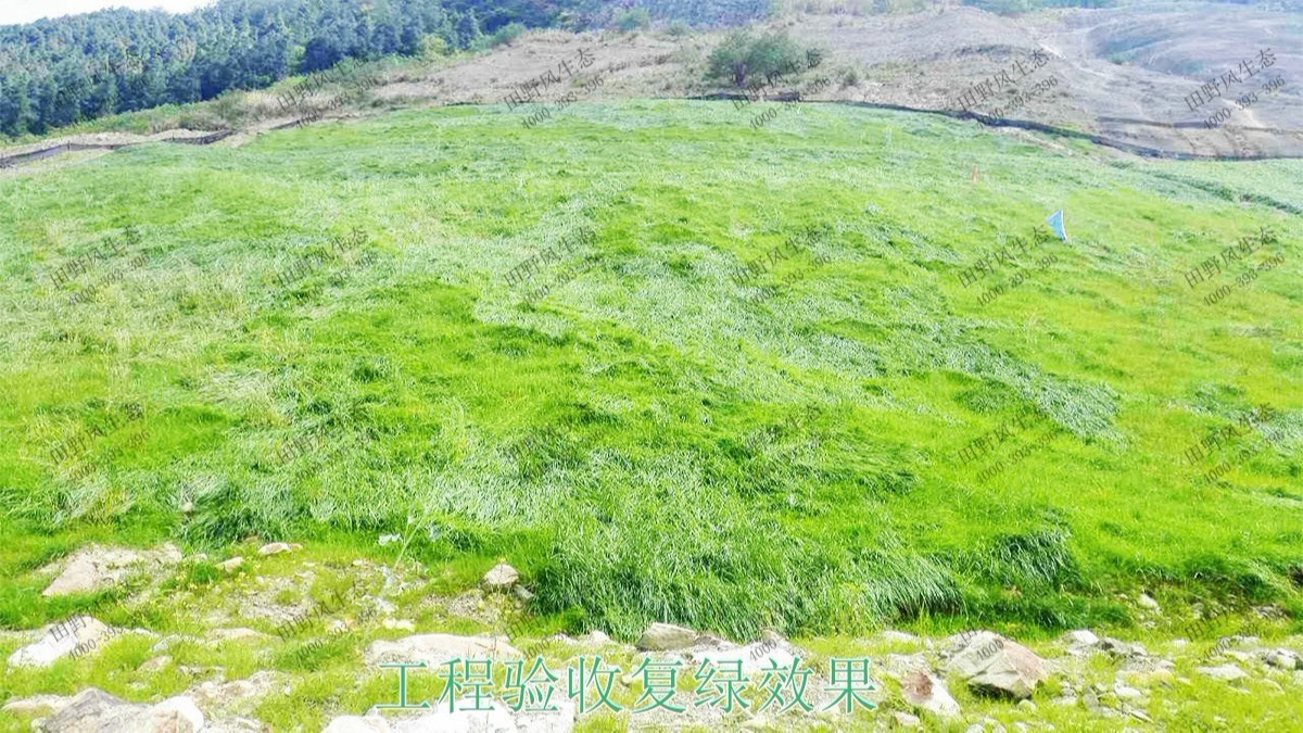 珠三角環(huán)線輕鐵路邊坡復綠工程