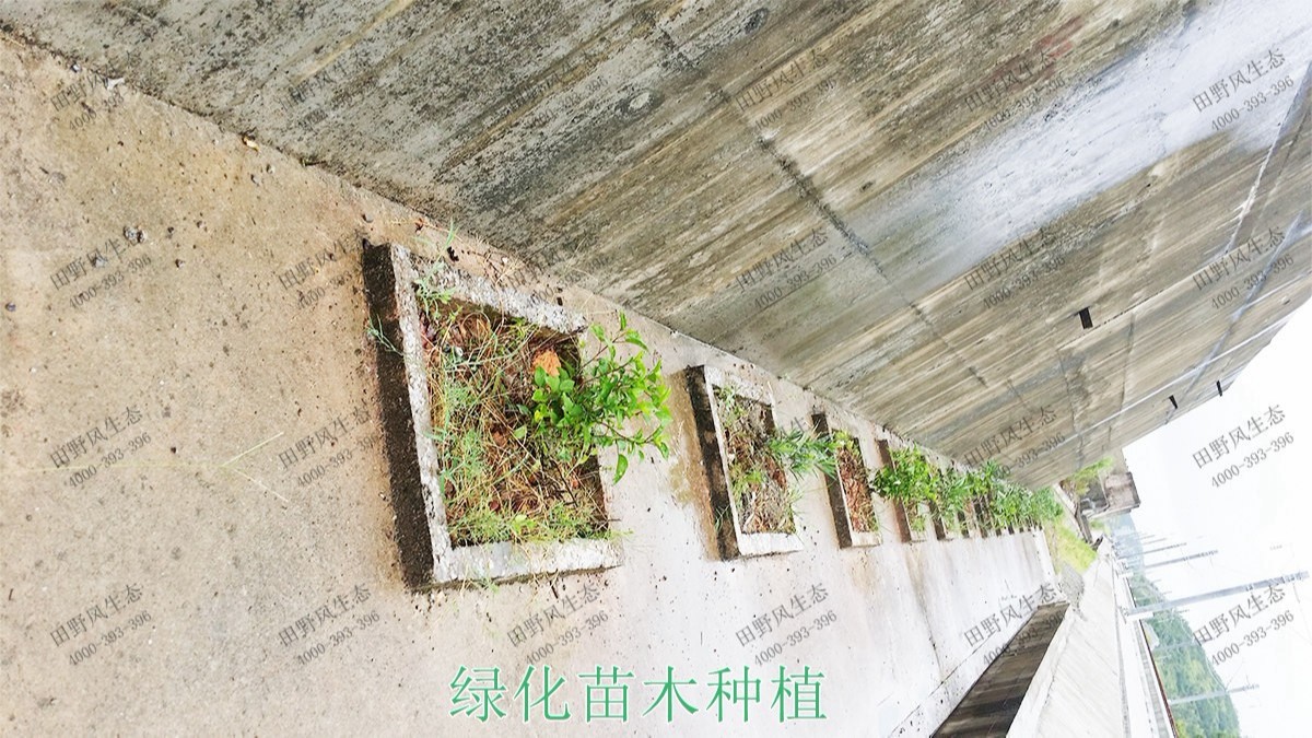 貴廣高鐵廣東段高鐵路邊坡噴草