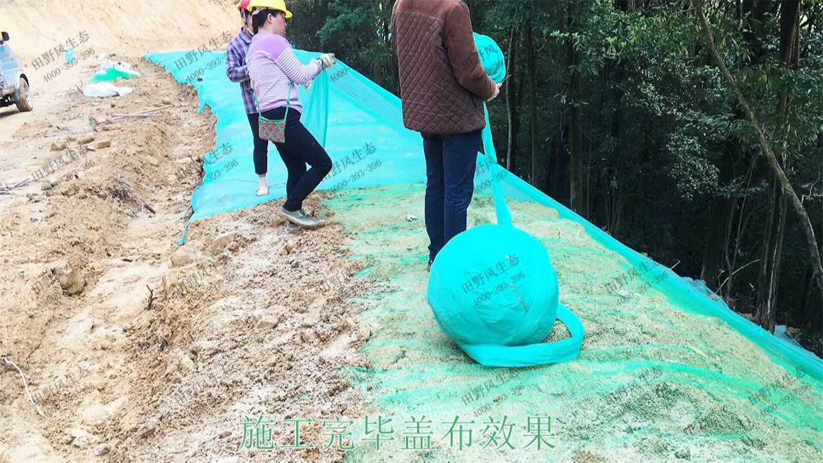 廣州白水山森林公園生態(tài)修復