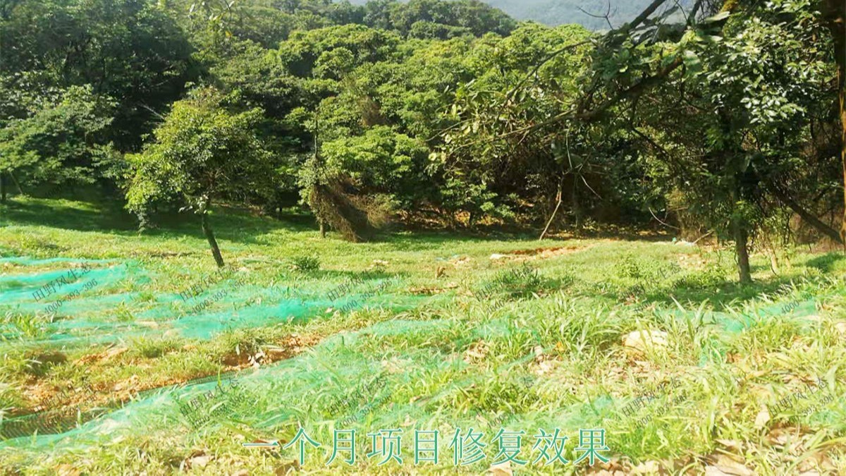 廣州白水山森林公園生態(tài)修復