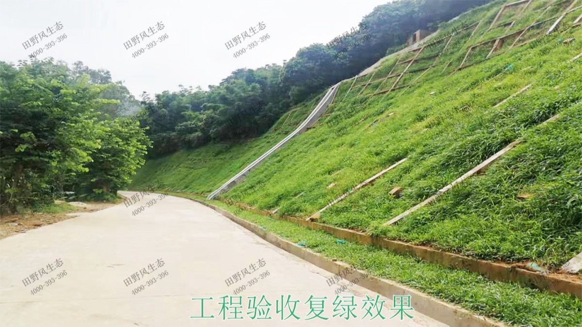 廣州白水山森林公園生態(tài)修復