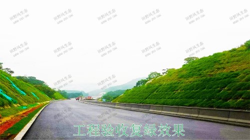 平興高速五華段公路邊坡掛網(wǎng)復綠