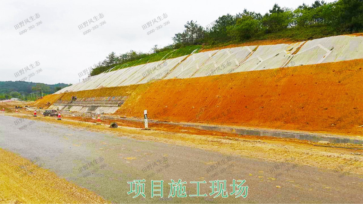 平興高速五華段公路邊坡掛網(wǎng)復綠