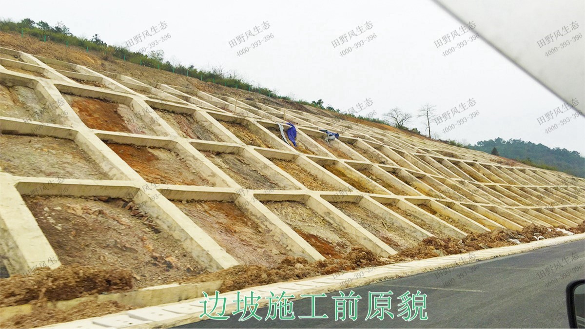 廣珠高速中山段公路邊坡綠化高速工程