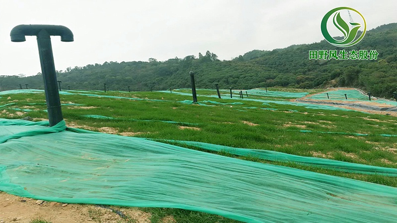 邊坡綠化,生態(tài)復(fù)綠