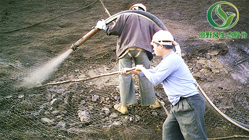 礦山生態(tài)修復(fù),植被修復(fù)