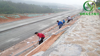 高速公路綠化，有哪些方法與竅門呢？