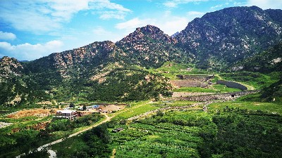 海南島生態(tài)綠化工程