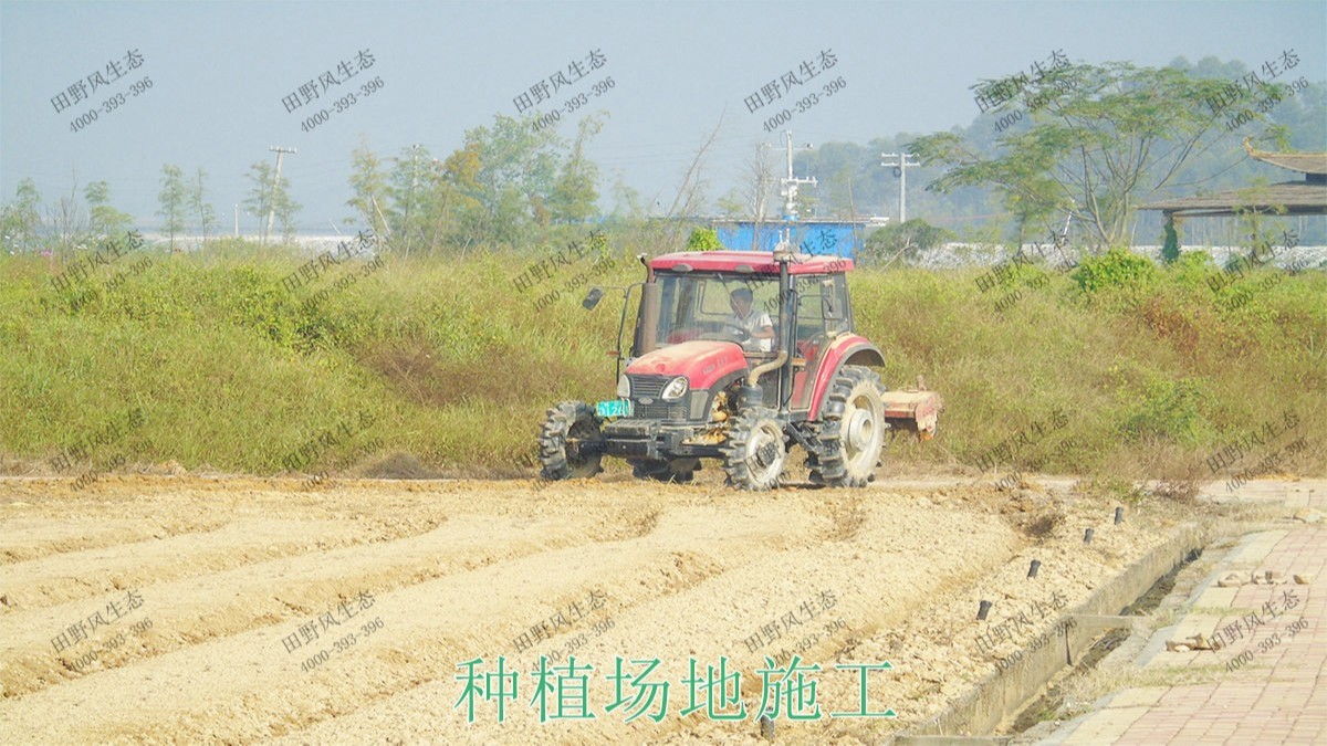 廣西北流銅石嶺4A景區(qū)花海設計