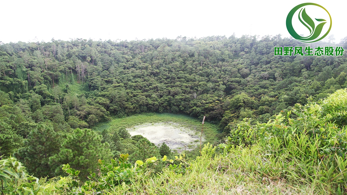 礦山生態(tài)復綠,礦山修復